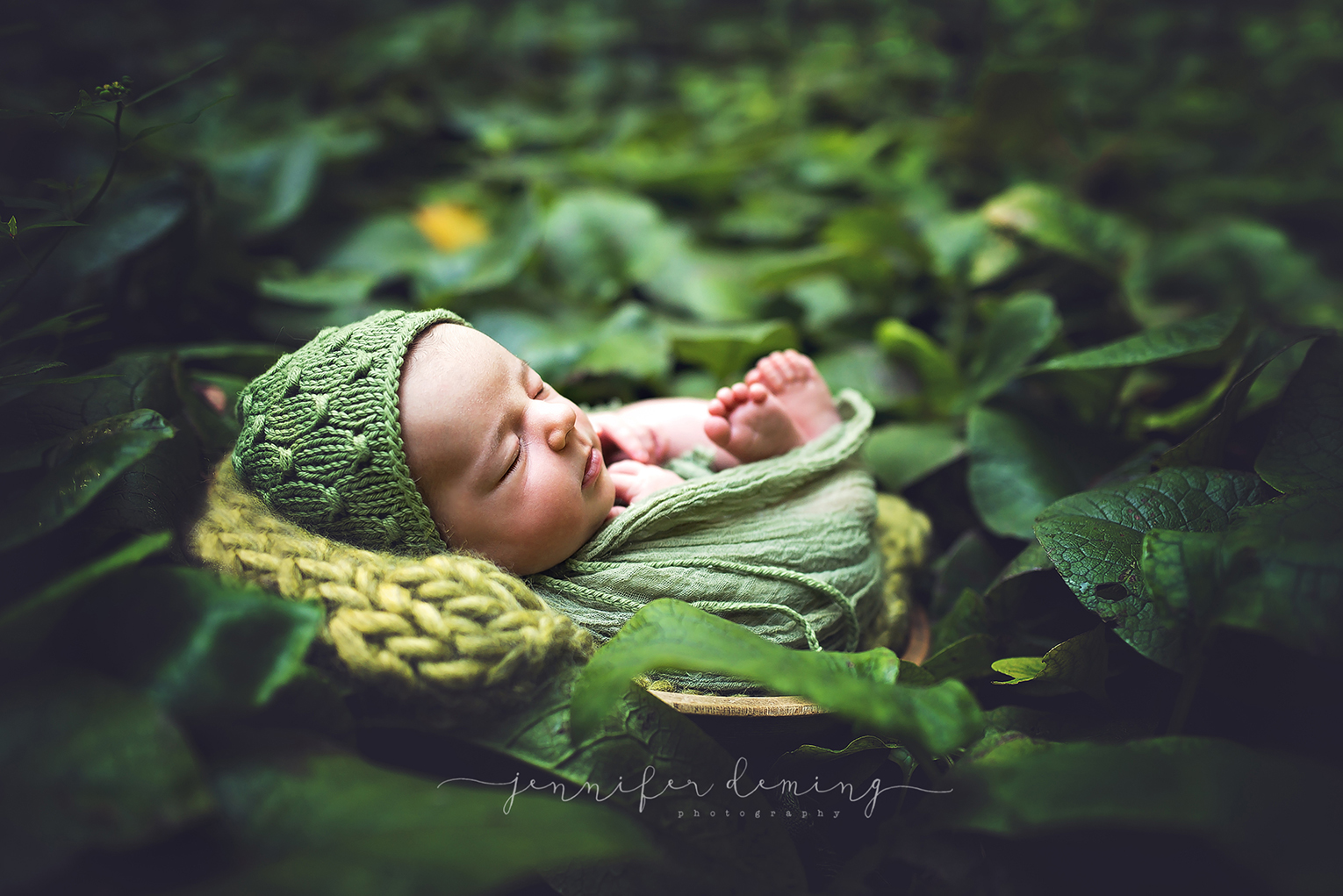 Session Pricing » Jennifer Deming Photography