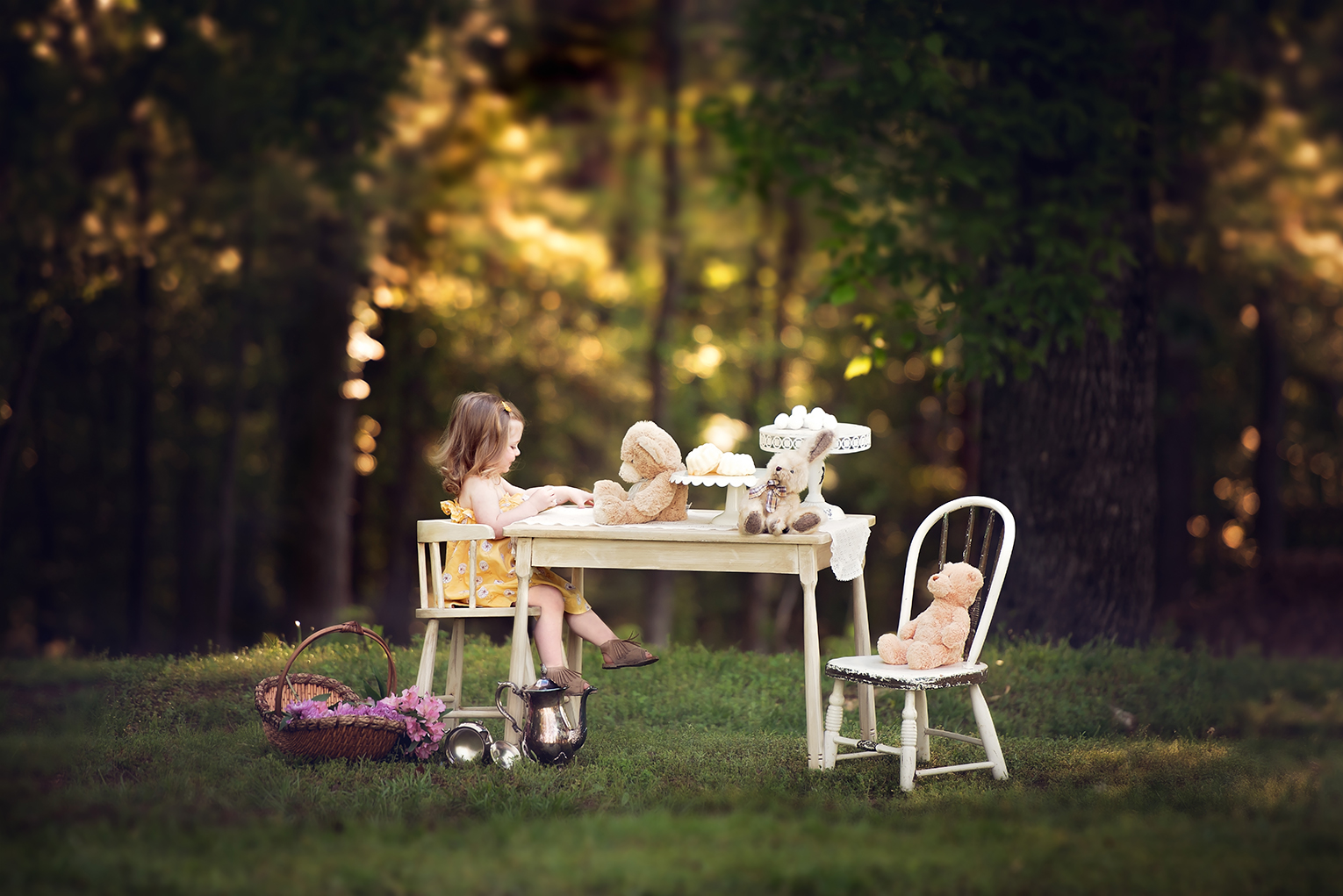 ELLA | ATLANTA CHILD PHOTOGRAPHER | TEDDY BEAR PICNIC » Jennifer Deming ...